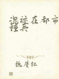 混迹在都市的特种兵