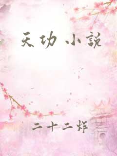 天功 小说
