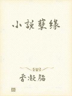 小说孽缘