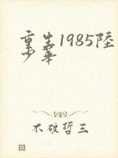 重生1985陆少华