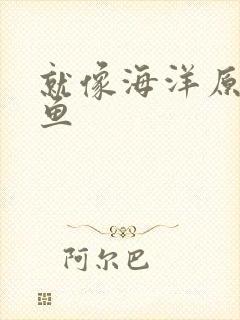 就像海洋原谅了鱼