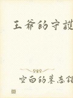 王爷的守护男妃