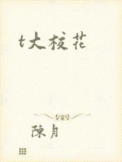 t大校花