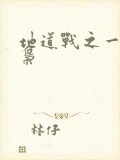 地道战之一代功枭