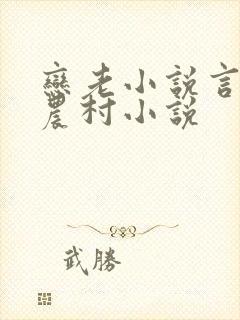 恋老小说言情网农村小说