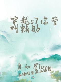 穿越s7你管这叫辅助