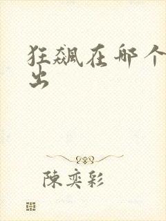 狂飙在哪个台播出