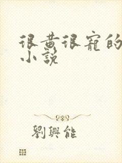 很黄很宠的总裁小说