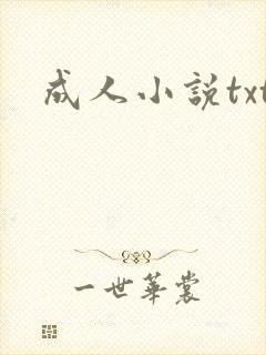 成人小说txt