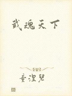 武魂天下