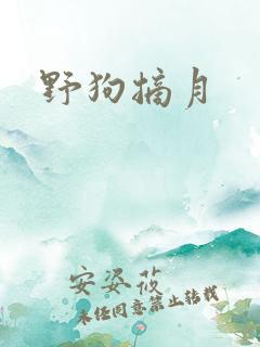 野狗摘月