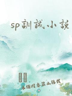 sp训诫小说