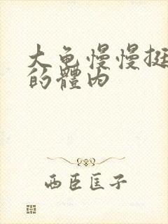 大龟慢慢挺进我的体内