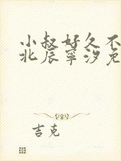 小叔好久不见顾北辰宁汐免费阅读