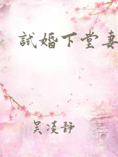 试婚下堂妻