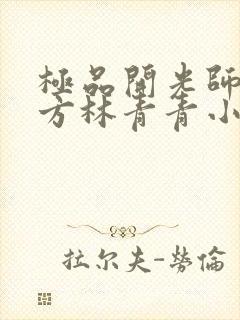 极品开光师李南方林青青小说免费阅读