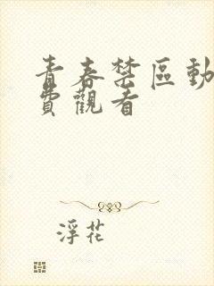 青春禁区动漫免费观看