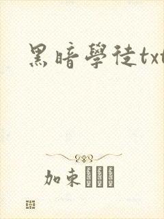 黑暗学徒txt