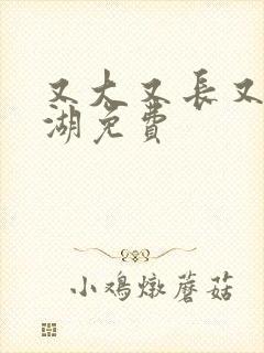 又大又长又租高湖免费