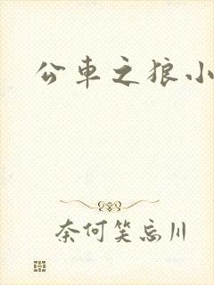 公车之狼小说