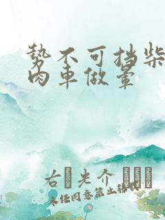 势不可挡柴鸡蛋肉车做晕