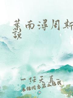 叶南浔周斯年小说