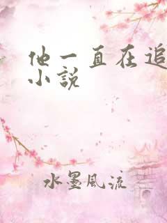 他一直在追初恋小说