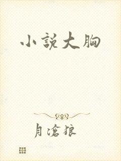 小说大胸