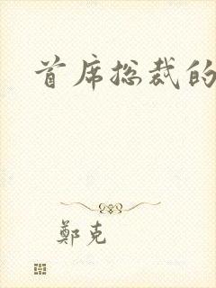 首席总裁的逃妻