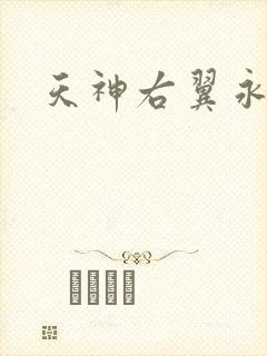 天神右翼永恒