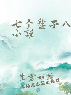 七个盘子八个碗小说