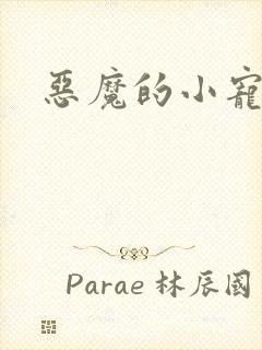 恶魔的小宠妻