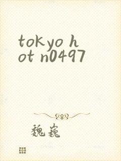 tokyo hot n0497