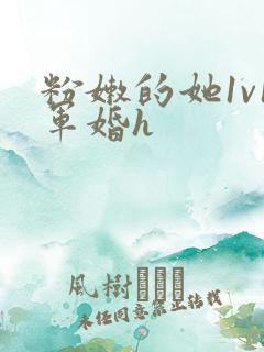 粉嫩的她1v1军婚h