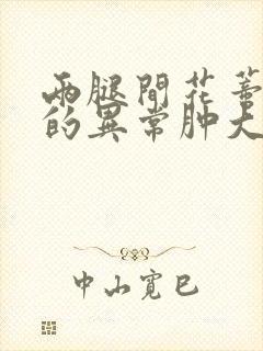 两腿间花蒂被吸的异常肿大