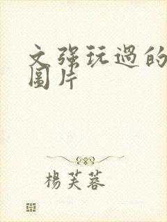 文强玩过的女人图片