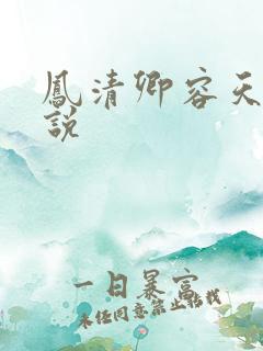 凤清卿容天凌小说