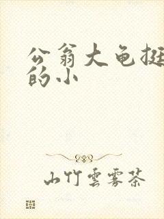 公翁大龟挺进我的小