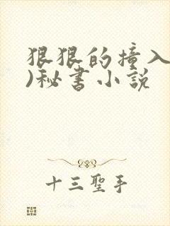 狠狠的撞入(h)秘书小说