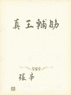 真王辅助