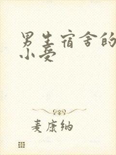 男生宿舍的公共小受