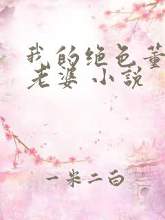 我的绝色董事长老婆 小说