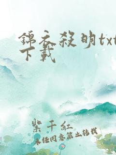 锦衣杀明txt下载