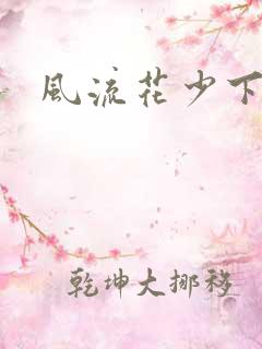 风流花少下载