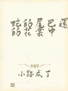 蛇的尾巴还在我的花丛中