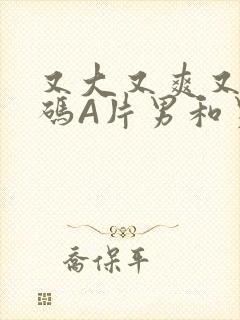 又大又爽又黄无码A片男和男