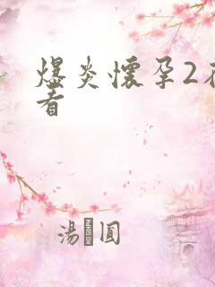 爆炎怀孕2在线看