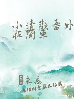 小清欢番外完整版开车