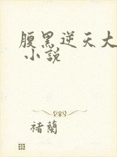 腹黑逆天大小姐 小说