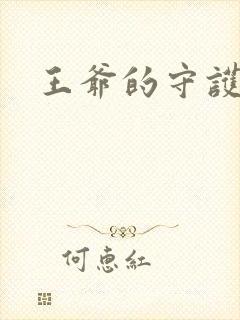 王爷的守护男妃